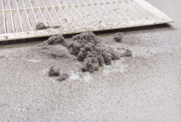 Best Commercial Air Duct Cleaning  in Baileyton, AL