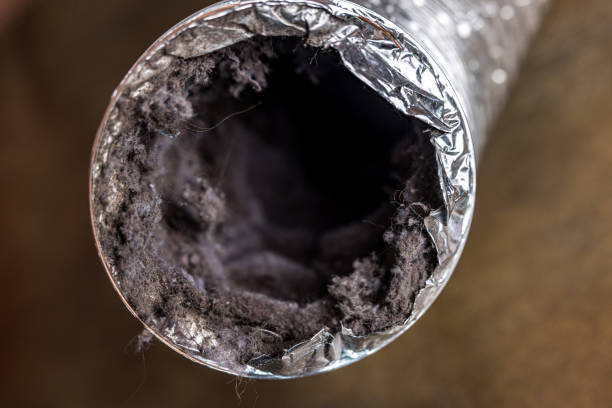 Best HVAC Air Duct Cleaning  in Baileyton, AL