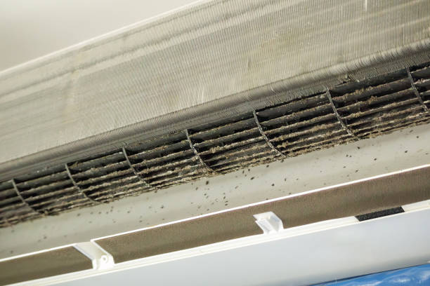 Best HVAC Duct Inspection Services  in Baileyton, AL